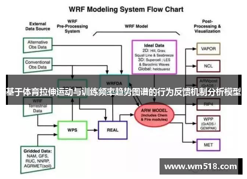 基于体育拉伸运动与训练频率趋势图谱的行为反馈机制分析模型