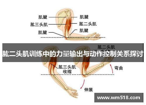 肱二头肌训练中的力量输出与动作控制关系探讨